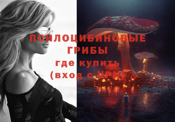 прущая мука Корсаков